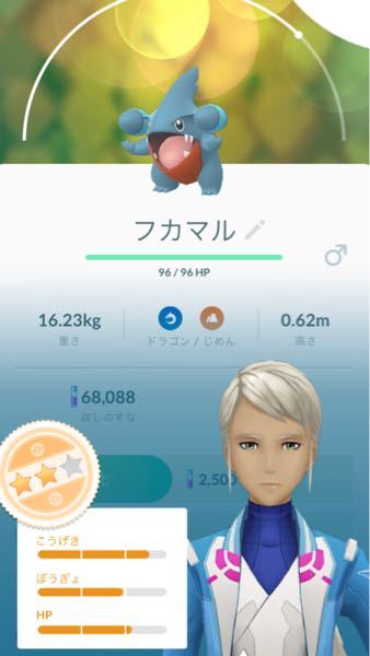 ポケモンのプラチナをやっているのですが アクセサリーって何ですか Yahoo 知恵袋