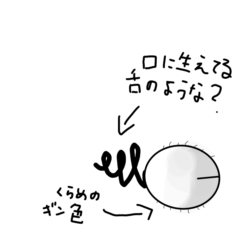 占い 回答受付中の質問 Yahoo 知恵袋