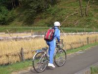 中学生自転車通学の人へ質問です 中学生は自転車に乗る際 学校指定 Yahoo 知恵袋