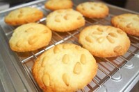 お正月には「松の実クッキー」を食べますか？？ 