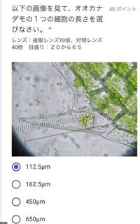 生物の顕微鏡でオオカナダモの長さを測る問題です この計算の仕方 Yahoo 知恵袋