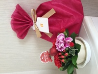 今日は 母の日 ですが みなさんは お母さんに感謝の気持ちを贈りまし Yahoo 知恵袋