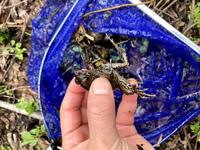 パスワード 質問です ポケモンブラック ホワイトで ヒウンシティと４番道 Yahoo 知恵袋