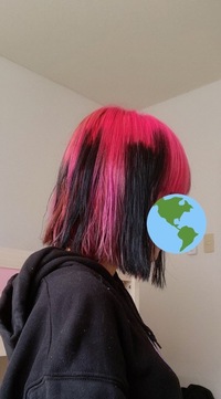 Ps2版のドラクエ５でも ひとしこのみ は出来ますか Ca Yahoo 知恵袋