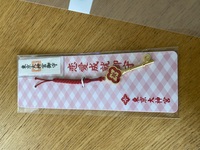 今日 東京大神宮に行ってこのお守りを買ったんですけどこれって袋から出 Yahoo 知恵袋