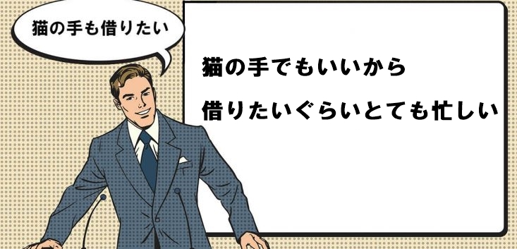 吉本新喜劇の宇都宮まきちゃんかわいいと思うんですけど皆さんはどうですか 教えて Yahoo 知恵袋