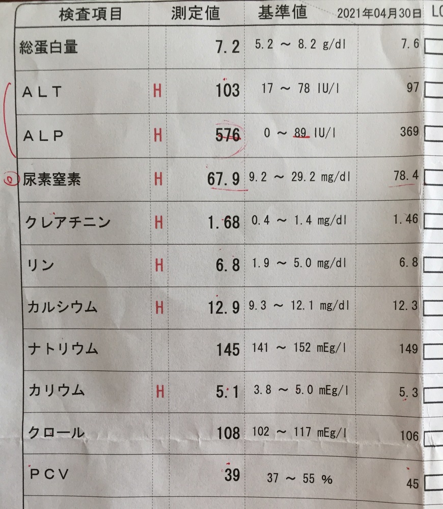 Nfk様はじめまして 検索していたところ 知恵袋を拝見し 腎臓 Yahoo 知恵袋