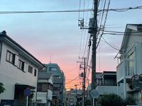 空って 昔からこんなピンクっぽい夕焼けでしたっけ 24歳です Yahoo 知恵袋