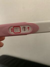 生理予定日当日にフライング検査をしました 1週間フライングです これは Yahoo 知恵袋