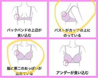 ブラジャーについて質問です 私は今高校生で F65のブラジャーを着用 Yahoo 知恵袋