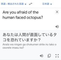 Areyouafraidofthehuman Facedoctopus Yahoo 知恵袋
