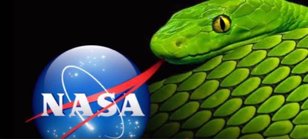 Nasaのロゴは蛇の舌です つまり 前もって 騙すよ と教えてくれてる訳で Yahoo 知恵袋