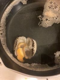 貝類が食べられないのですが みなさんはどうですか 貝のウンコ食べてると思 Yahoo 知恵袋