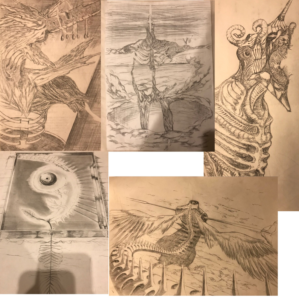 ワンピースで1番好きなキャラはなんですか Yahoo 知恵袋