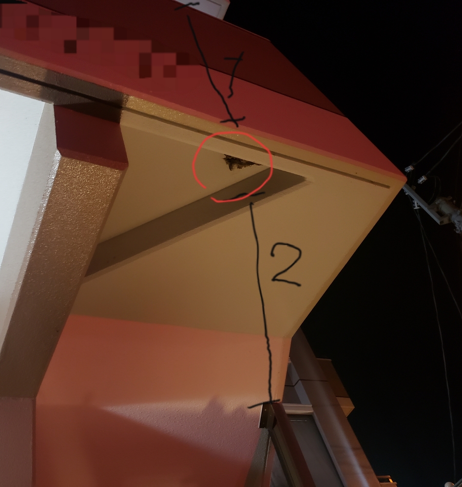 ウーパールーパーの水槽には隠れ家などはいりますか 初のウーパールー Yahoo 知恵袋