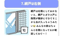 妊娠中のお昼ご飯について 私は専業主婦です いつもお昼ご飯で悩んで Yahoo 知恵袋