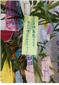 七夕飾りに このような願い事が有りました なんだか故人に対して Yahoo 知恵袋