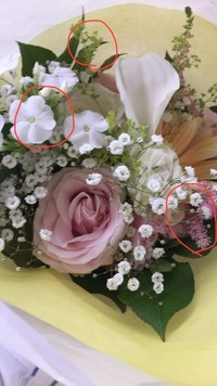 素敵な花束をもらいました 赤丸の花の名前を教えてください よろしくお Yahoo 知恵袋