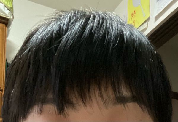 毛量が多い人の黒髪ボブは芋っぽくなりますか 私の髪の毛はとても量が Yahoo 知恵袋