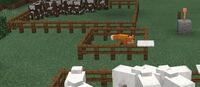 マイクラのクリエイティブで 動物をデスポーンさせないためにはどう Yahoo 知恵袋