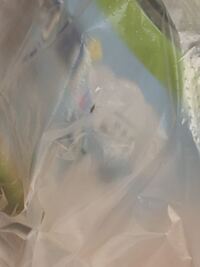 学校の課題でミニトマトを育ててるんですけど 虫の卵が着いていたみたいで 写真の Yahoo 知恵袋