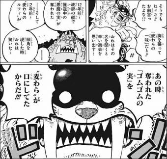 残りの寿命を半分にする代償として能力を得られるなら それに相応する Yahoo 知恵袋