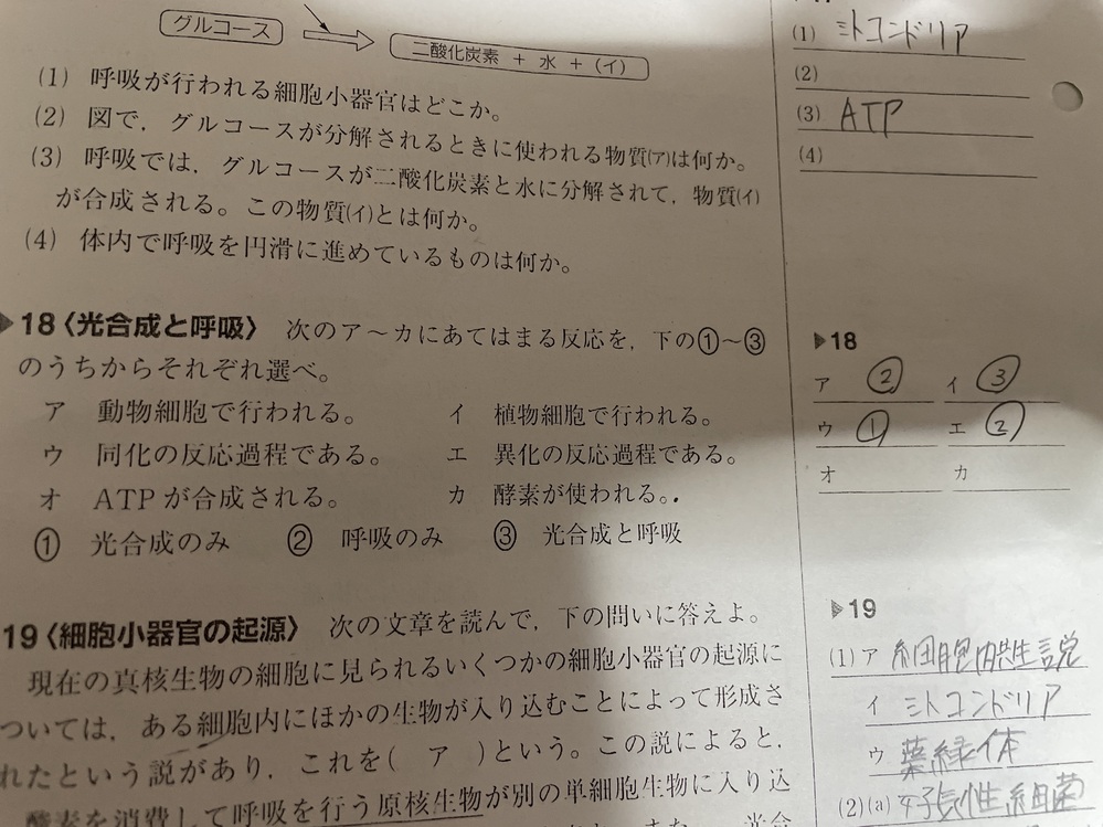大至急お願いします 生物基礎です 18の答えを教えてください Yahoo 知恵袋