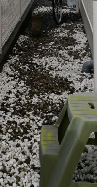 庭の砂利洗浄方法 5年ほど前に庭にひいた真っ白い砂利がカビや土の汚 Yahoo 知恵袋