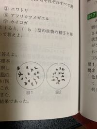 ヒョウモントカゲモドキ レオパに与えるコオロギの保管の方法を教えてくだ Yahoo 知恵袋
