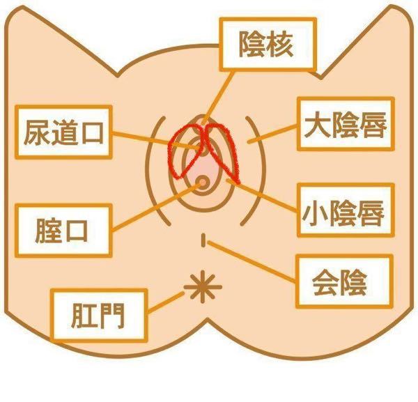 女性の病気 解決済みの質問 Yahoo 知恵袋