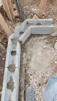 家の塀 コンクリートだと思われる にナメクジが沢山湧いています Yahoo 知恵袋