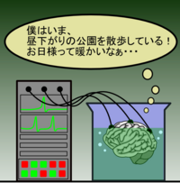 生物基礎についての質問です ウはなんの位置に該当するかという問の答え Yahoo 知恵袋