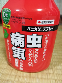 観葉植物の土に小さい白い虫がいます 水をあげると動いて ウヨウヨいます Yahoo 知恵袋