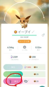 ポケモンgoイーブイを昼間エーフィに進化させるにはどうしたらいいですか 名前を Yahoo 知恵袋