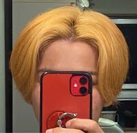 この写真のような色 ブリーチlvを教えて下さい また このような色から外国人 Yahoo 知恵袋