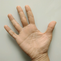 手相占いお願い致します 42歳女 現在求職中です 8月以降の仕事運 金運 Yahoo 知恵袋