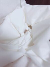 白い蜘蛛が家にいました これは珍しいことなんですか それと Yahoo 知恵袋