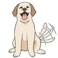 犬は嬉しい時には尻尾を振りますが 猫や鳥などの他の動物も嬉しい時には Yahoo 知恵袋