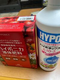 金魚用のグリーンウォーターを初めて作っています ハイポネックスを少し Yahoo 知恵袋