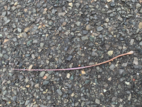 猟奇的なストーカーストーカー対策について 長文ですみません Yahoo 知恵袋