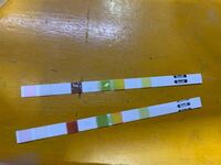 近頃生体の調子がおかしいので水質検査してみたのですがcl2が検出され Yahoo 知恵袋