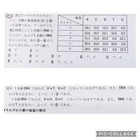 お礼のコインもあります 生物の問題です なぜ A T G Cにならないの Yahoo 知恵袋