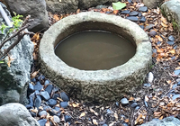 手水鉢をきれいに埋めたい 庭にある手水鉢ですが ボウフラが繁殖す Yahoo 知恵袋