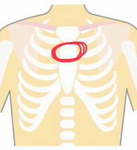 鎖骨の間の下のところの肋骨 胸骨 が痛いのですが この画像の赤い Yahoo 知恵袋