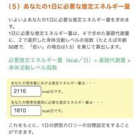 この摂取カロリーの計算をしたのですが いまいち分かりません 私 Yahoo 知恵袋