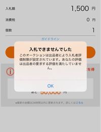 ヤフオク初心者です ある商品に入札しようとすると このような物 Yahoo 知恵袋