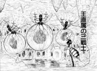 メルエムは蟻と人間のハーフということでしょうか また キメラアント Yahoo 知恵袋