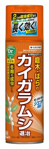 食用植物のカイガラムシ駆除に使える薬剤はありますか 重曹などは効果が見られま Yahoo 知恵袋