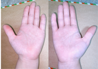 手相占いをお願いします 仕事 金運 恋愛 いつ頃結婚できるのか知りた Yahoo 知恵袋