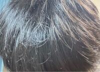 こんな感じで髪がサラサラではなく少しゴワゴワした感じです シャンプーはいち髪 Yahoo 知恵袋